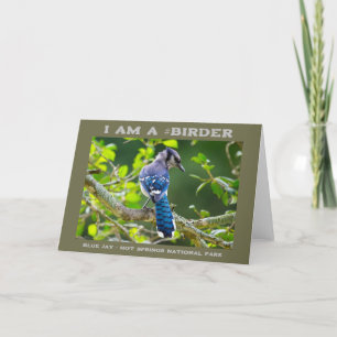 Nature Photography Shy Blue Jay Birder Card