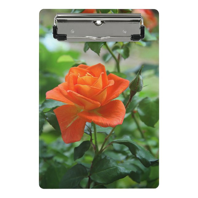 Nature Pink Rose Flower  Mini Clipboard (Front)