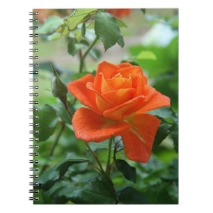 Nature Pink Rose Flower Notebook