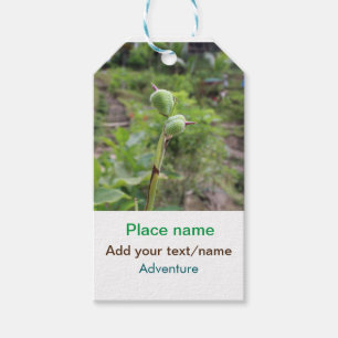 Nature plants photography beach water travel name gift tags