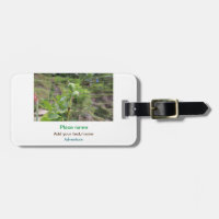 Nature plants photography beach water travel name