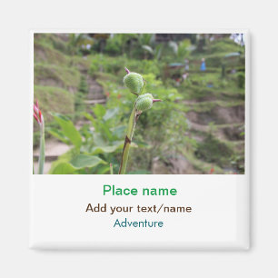 Nature plants photography beach water travel name magnet