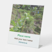 Nature plants photography beach water travel name