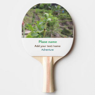 Nature plants photography beach water travel name ping pong paddle