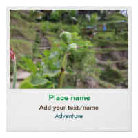 Nature plants photography beach water travel name