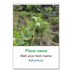 Nature plants photography beach water travel name table number