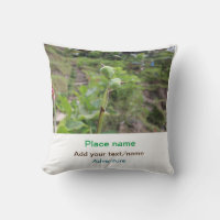 Nature plants photography beach water travel name