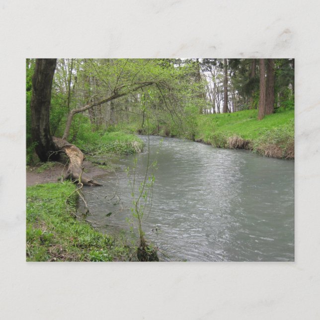 Nature Post Card (Front)