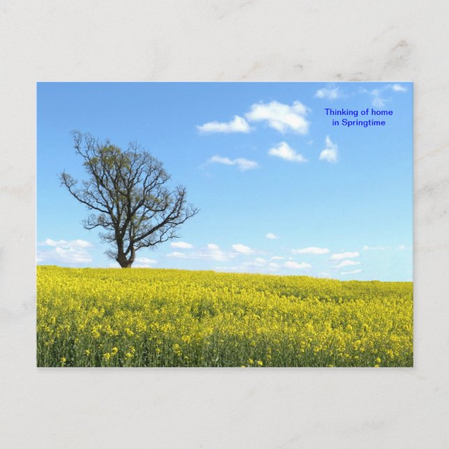 Nature Postcard (Front)