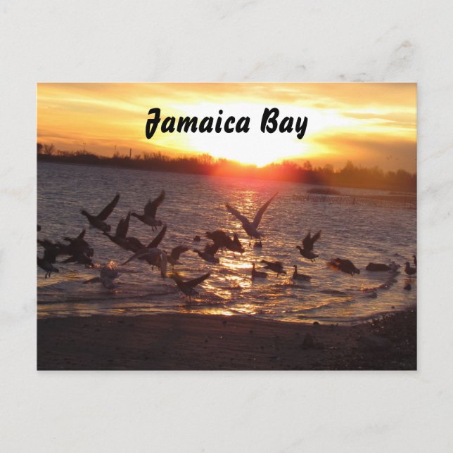 Nature Postcard (Front)