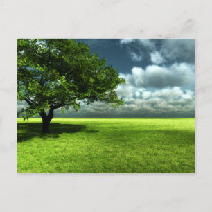 Nature postcard