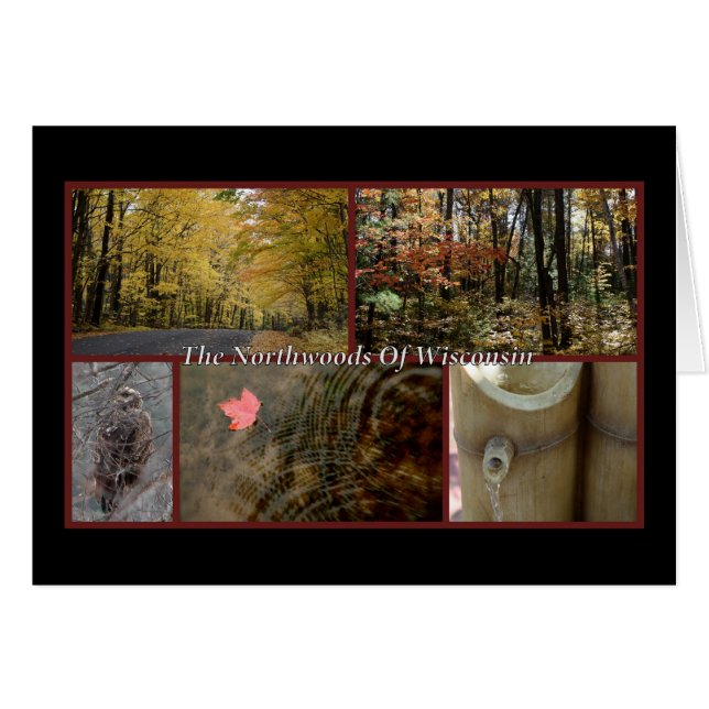 Nature Postcard Northwoods Wisconsin Seasonal (Front Horizontal)