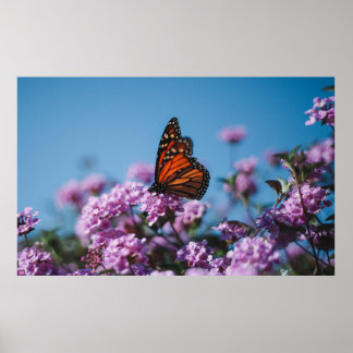 Nature Poster