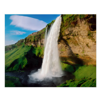 NATURE POSTER