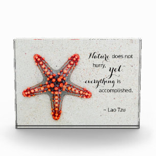 Nature Print Starfish with Lao Tzu Quote Photo Block