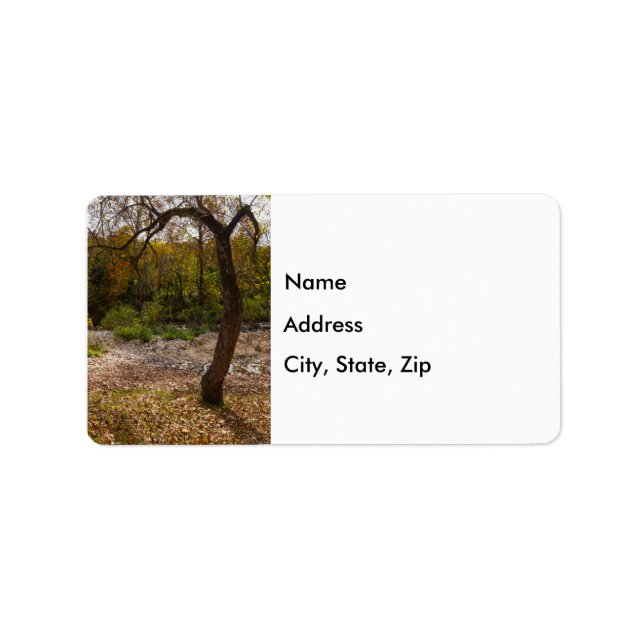 Nature Reaching Out Address Labels (Front)