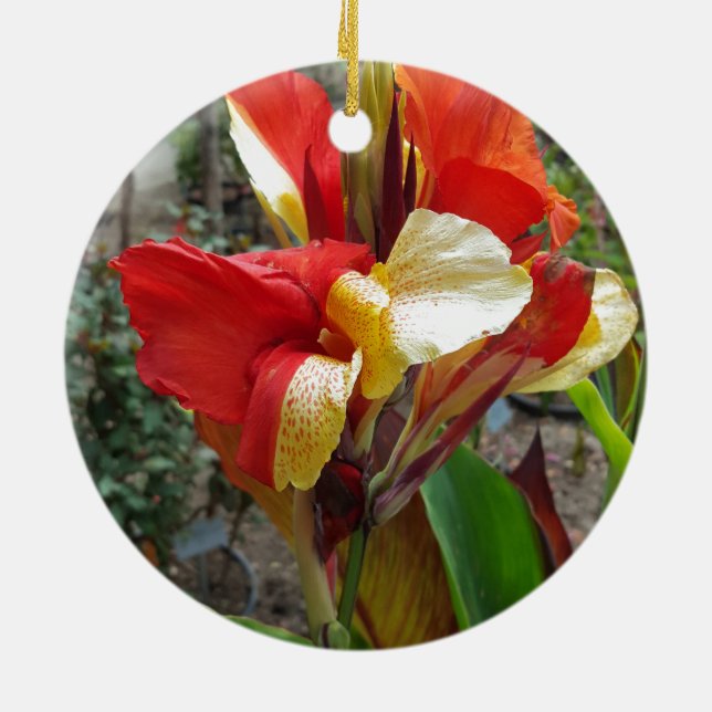 Nature Red Flower Floral Photography Ceramic Ornament (Back)