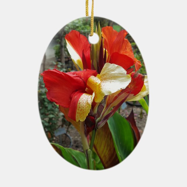 Nature Red Flower Floral Photography Ceramic Ornament (Back)