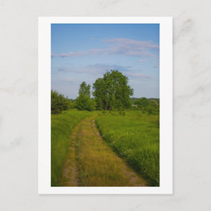 Nature Rural Village Landscape Belarus Postcard