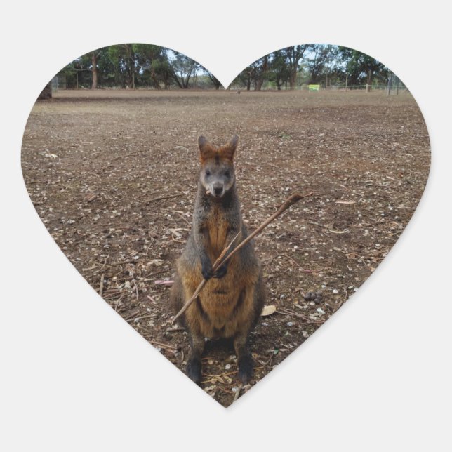 "Nature’s Feast: A Wallaby’s Snack Break" Heart Sticker (Front)