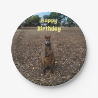 "Nature’s Feast: A Wallaby’s Snack Break"