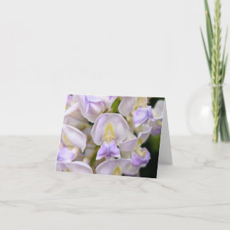 Nature’s Touch - Voeux et Carte de remerciements b