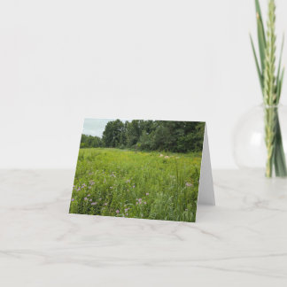 Nature’s Touch - Voeux et Carte de remerciements b