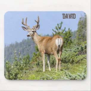 Nature Scenic Elk Mouse Pad