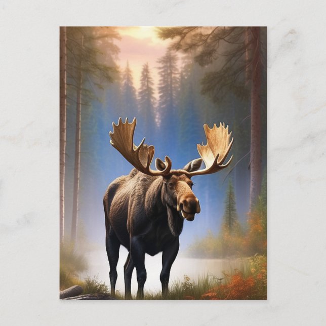 *~* Nature STREAM AP49 MOOSE Forest  Postcard (Front)