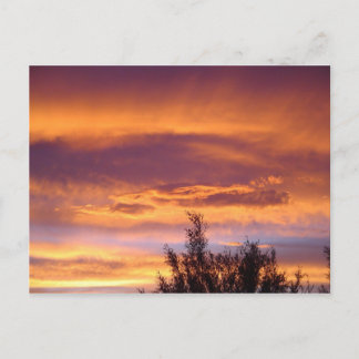 Nature Sunsets Postcard