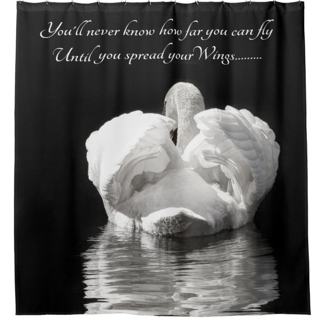 Nature swan photograph (Front)
