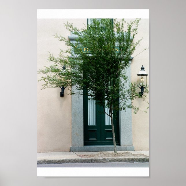 nature taking over poster (Front)