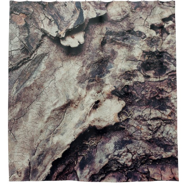 Nature texture wood bark rough (Front)