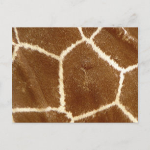 Nature Textured Photo Giraffe Animal Print Pattern Postcard