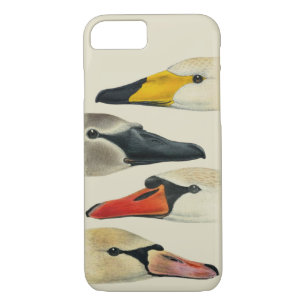 Nature The Many Faces of a Swan Case-Mate iPhone Case