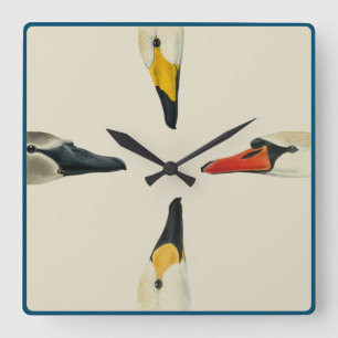 Nature The Many Faces of a Swan Wall Clock