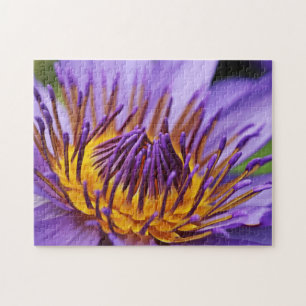 Nature Theme Closetup Water Flower Closeup Jigsaw Puzzle