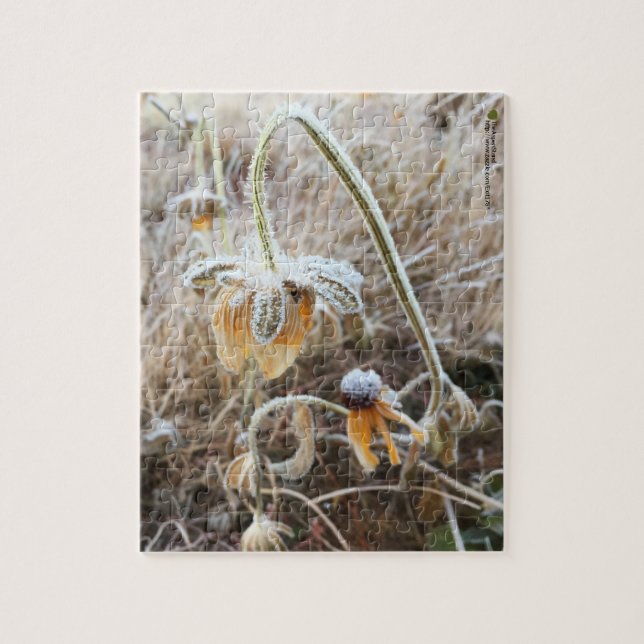 Nature Touched Rudbeckia Coated In Morning Frost Jigsaw Puzzle (Vertical)