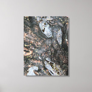 Nature Tree Roots Rainy Day Puddle Photograph Art Canvas Print