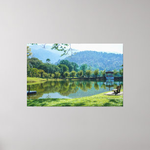 Nature View Stretched Canvas Print