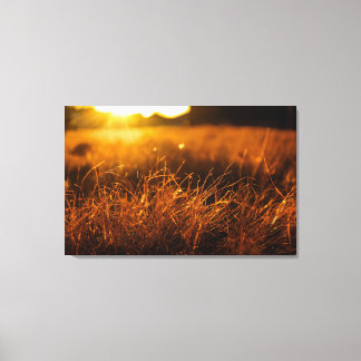 Nature Wall Art
