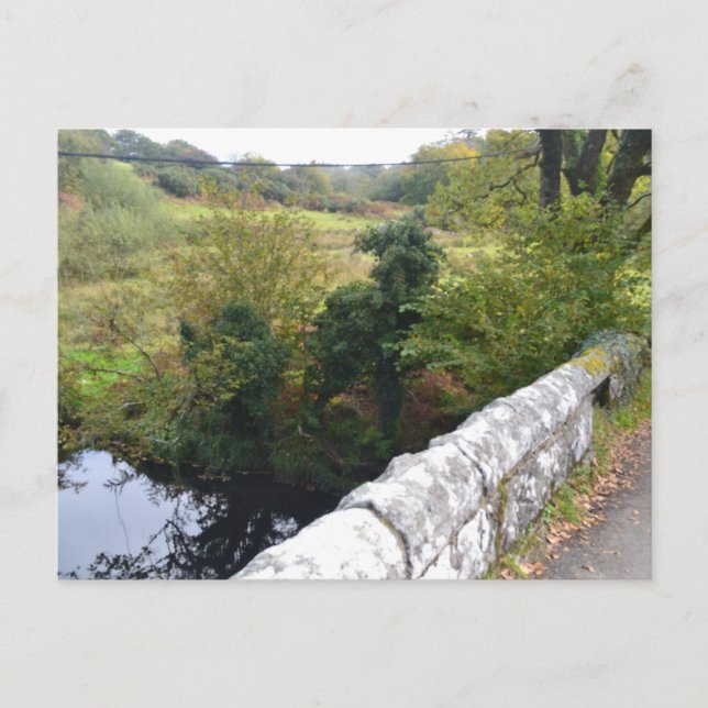 nature way of impersonating animalHoliday Postcard (Front)