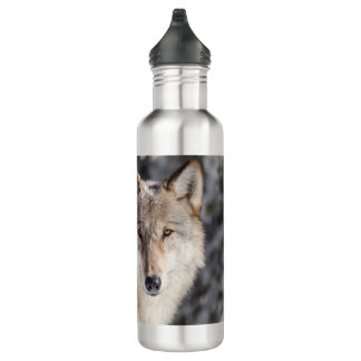 Nature & Wolf Design 710 Ml Water Bottle