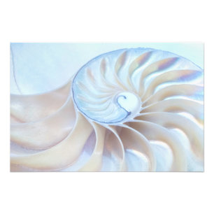 Nature's Art 2 Photo Print