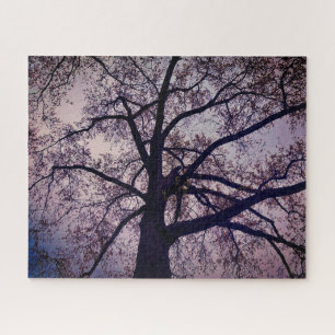 Nature's Beauty Jigsaw Puzzle