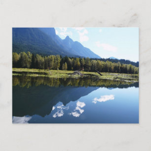 Nature's Beauty Reflected Postcard