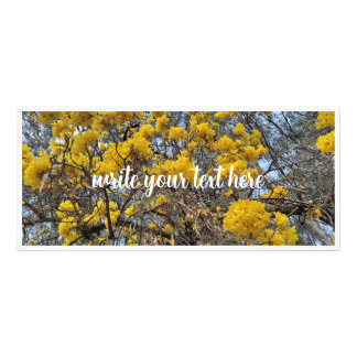 Nature's bloom rack card