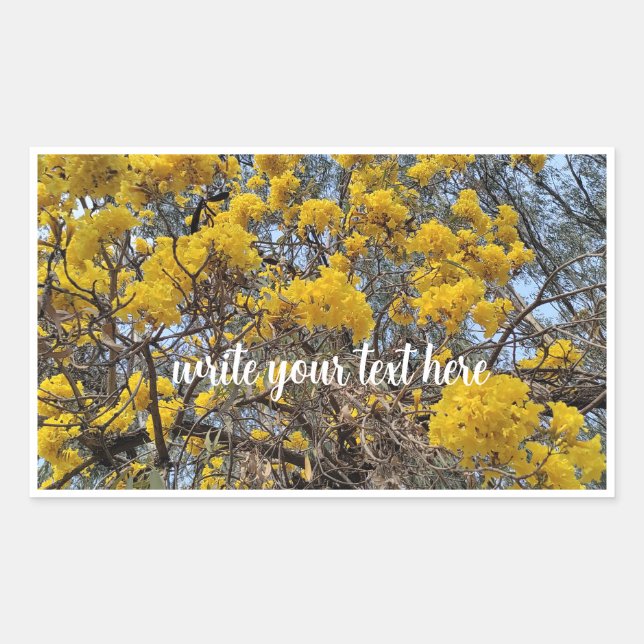 Nature's bloom sticker (Front)
