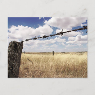 Nature's Boundaries Postcard