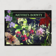 Nature's Bounty Wild Berries woodland Postcard